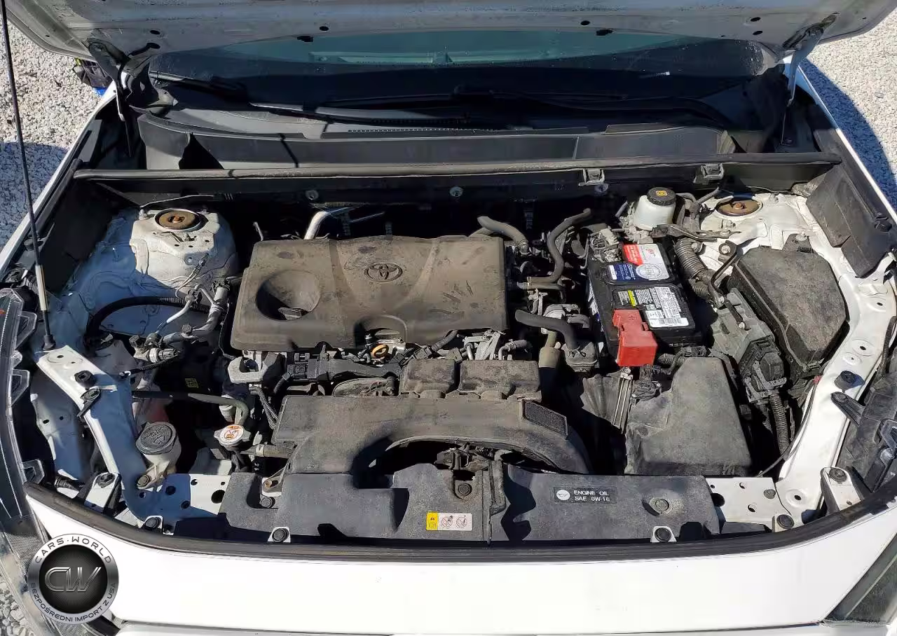 2019 Toyota Rav4 Le VIN:2T3G1RFV1KW055770 - 12