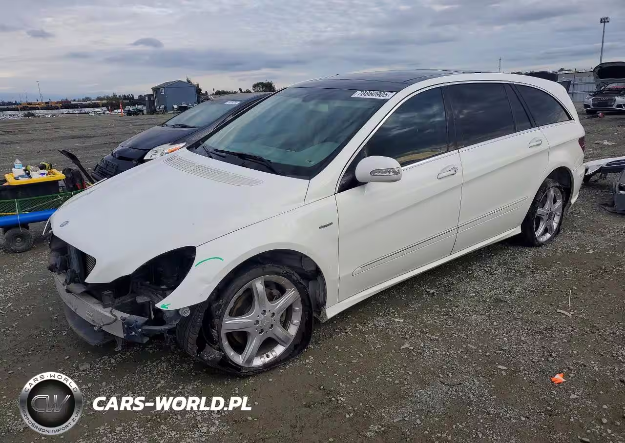 2010 Mercedes Benz R 350 Bluetec