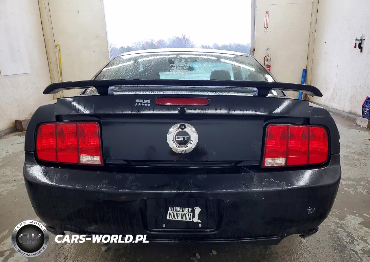 2007 Ford Mustang Gt VIN:1ZVFT82H375254928 - 6