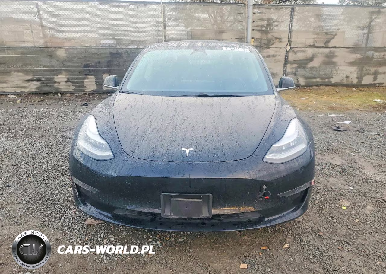 2019 Tesl Model 3 VIN:5YJ3E1EA5KF397876 - 5