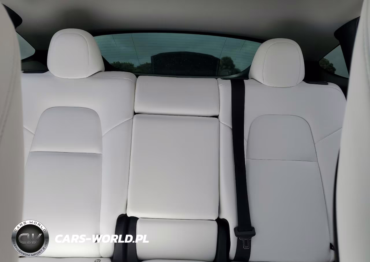 2024 Tesla Model Y VIN:7SAYGDED4RA321930 - 10