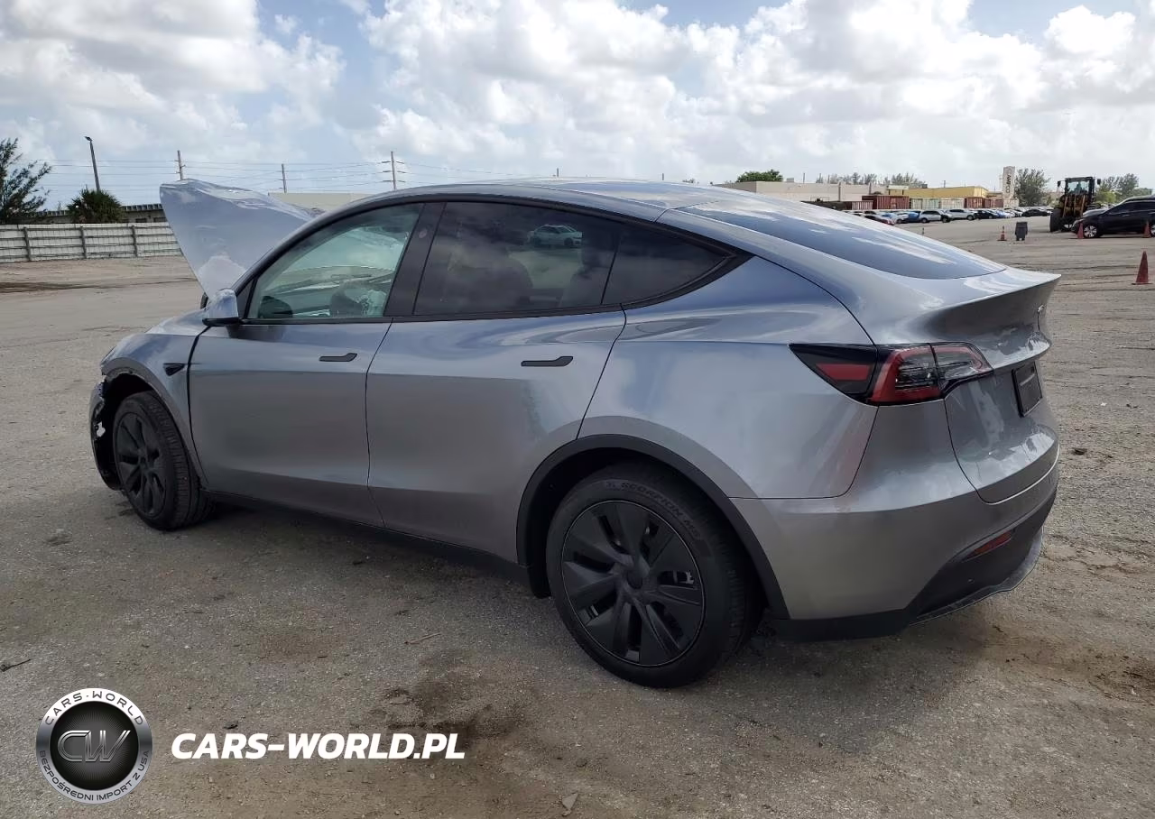 2024 Tesla Model Y VIN:7SAYGDED4RA321930 - 2