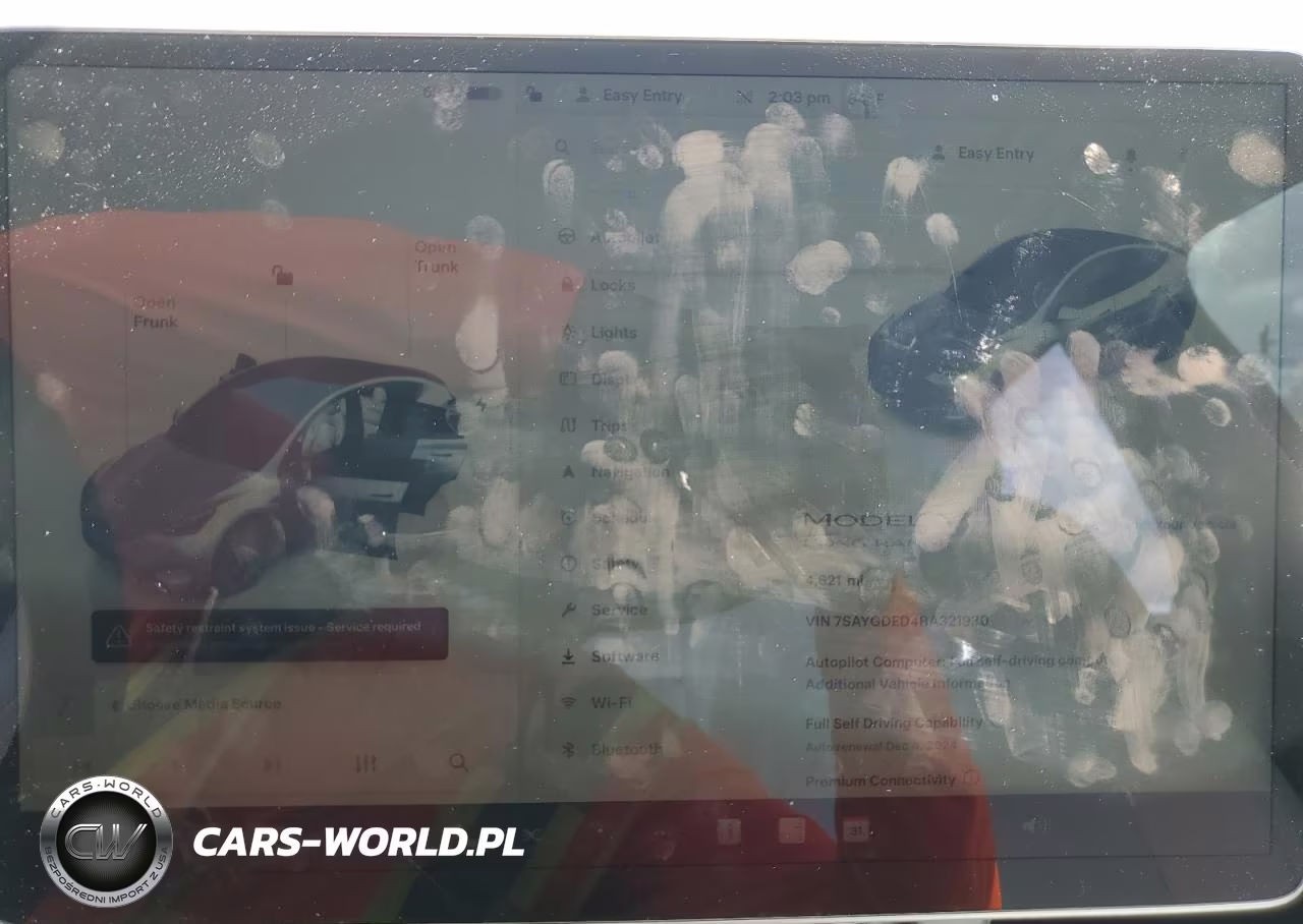 2024 Tesla Model Y VIN:7SAYGDED4RA321930 - 9