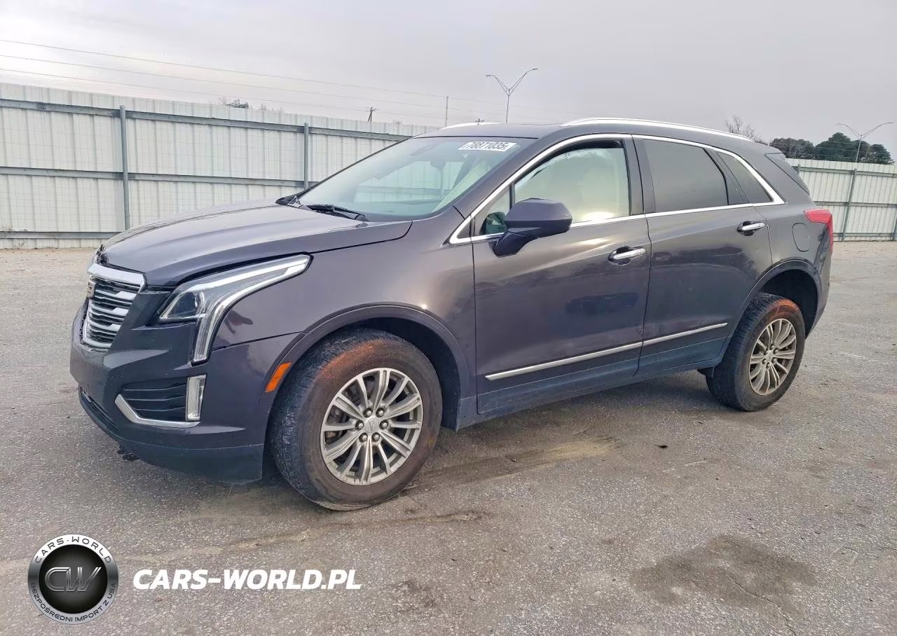 2019 Cadi Uk