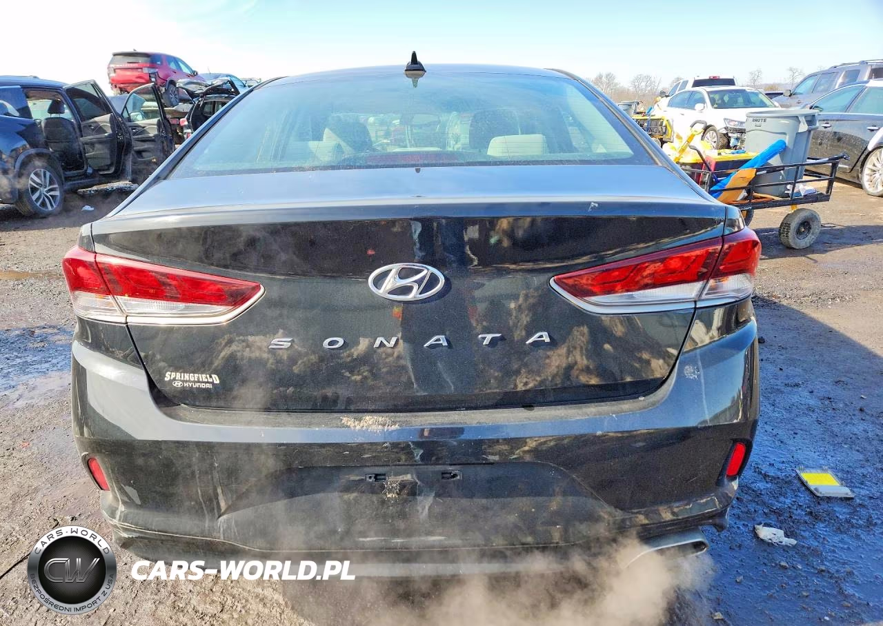 2018 Hyundai Sonata Sel VIN:5NPE34AFXJH631995 - 6
