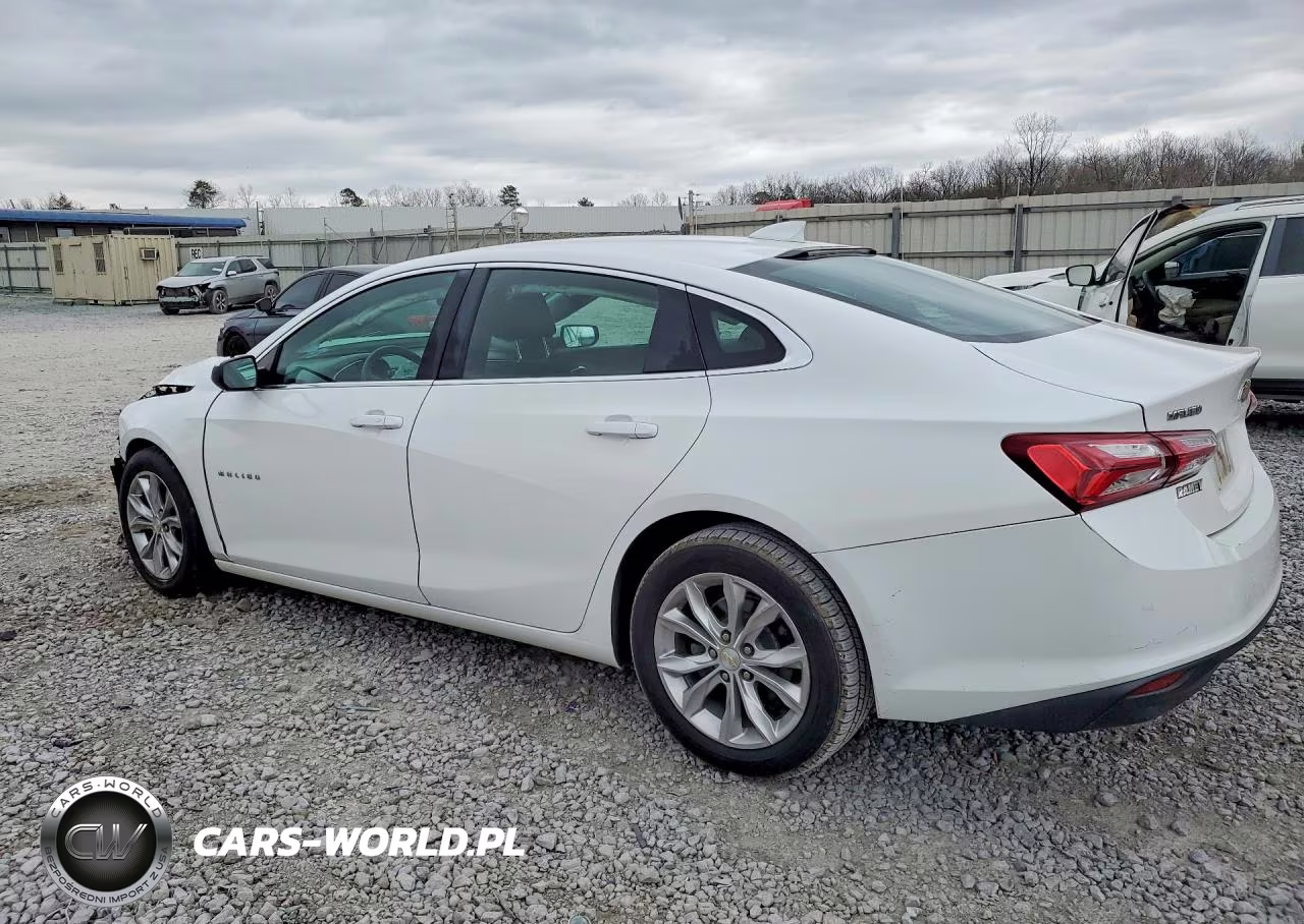 2019 Chevrolet Malibu Lt VIN:1G1ZD5ST0KF135732 - 2
