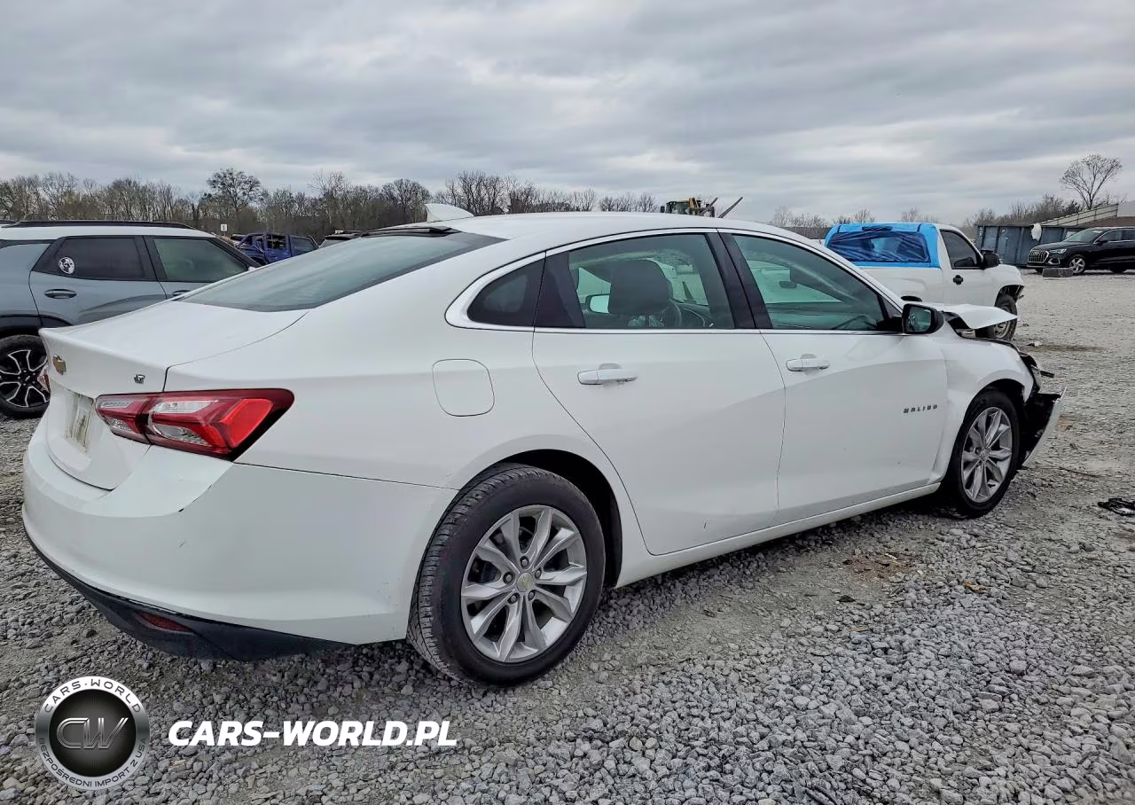 2019 Chevrolet Malibu Lt VIN:1G1ZD5ST0KF135732 - 3