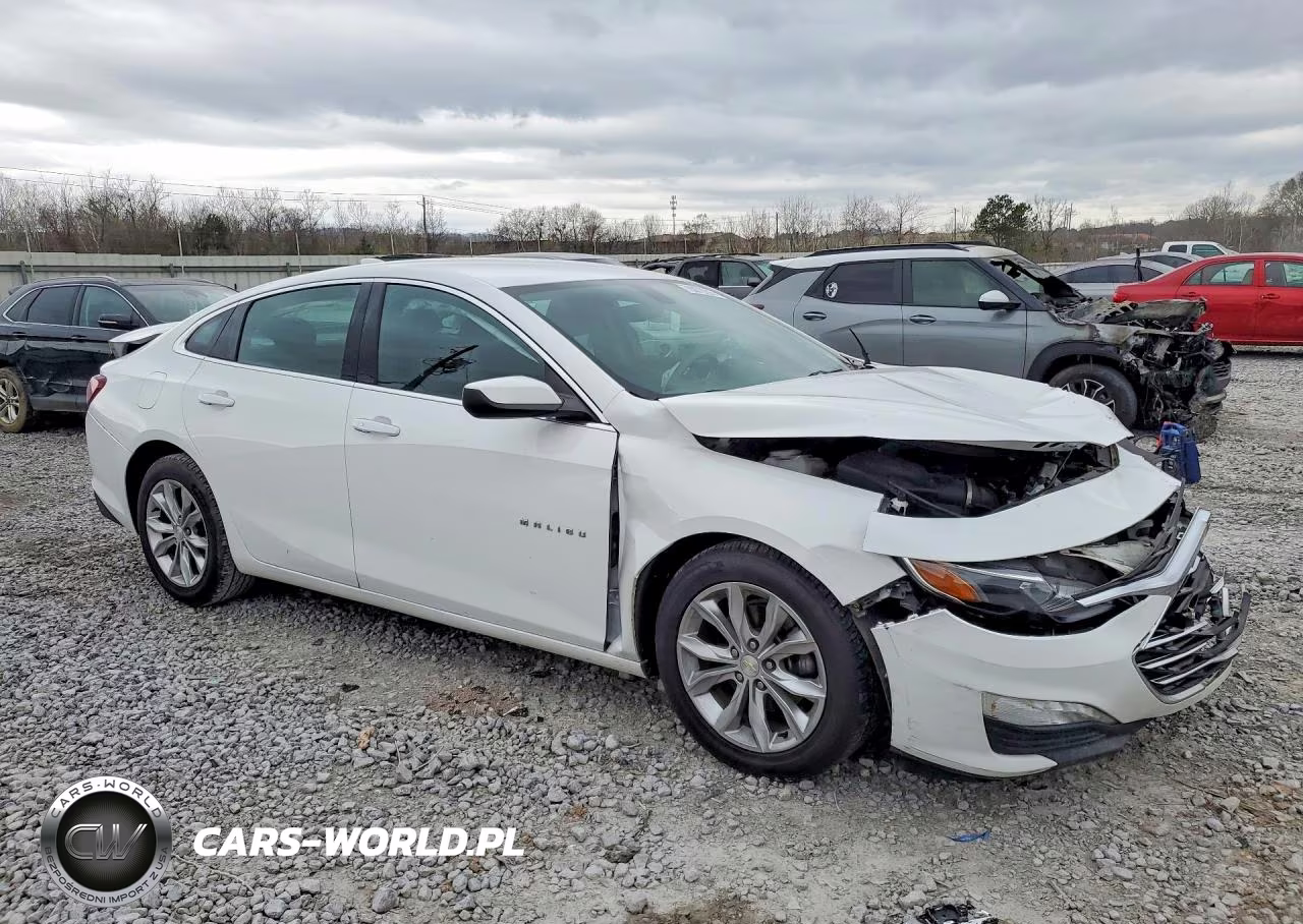 2019 Chevrolet Malibu Lt VIN:1G1ZD5ST0KF135732 - 4