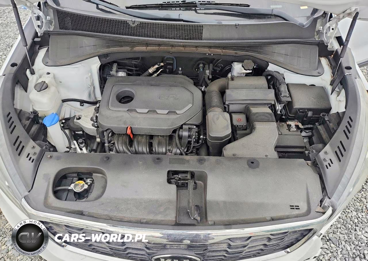 2019 Kia Sorento L VIN:5XYPG4A39KG546464 - 12