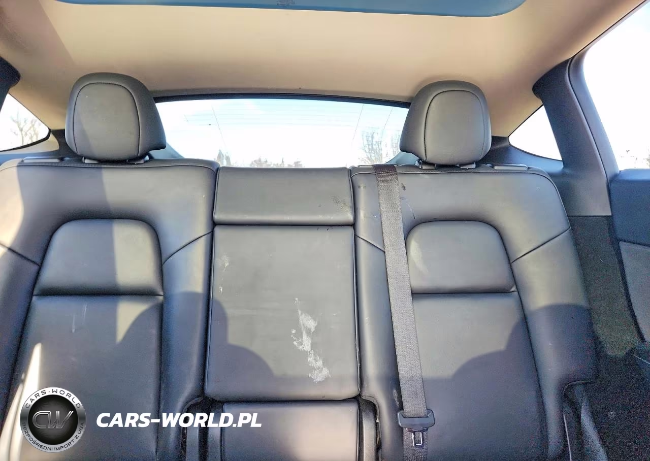 2023 Tesla Model Y VIN:7SAYGDEE3PF607258 - 10