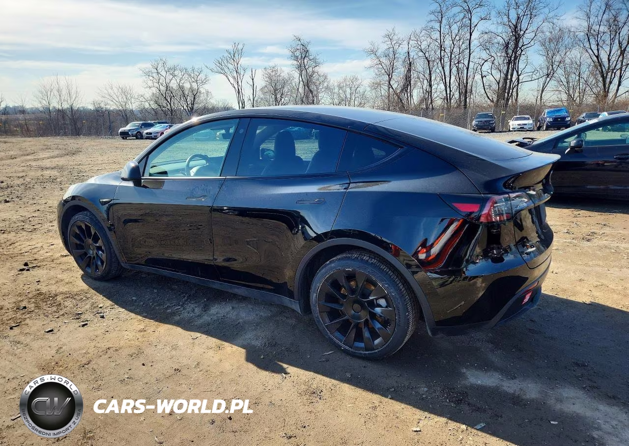 2023 Tesla Model Y VIN:7SAYGDEE3PF607258 - 2