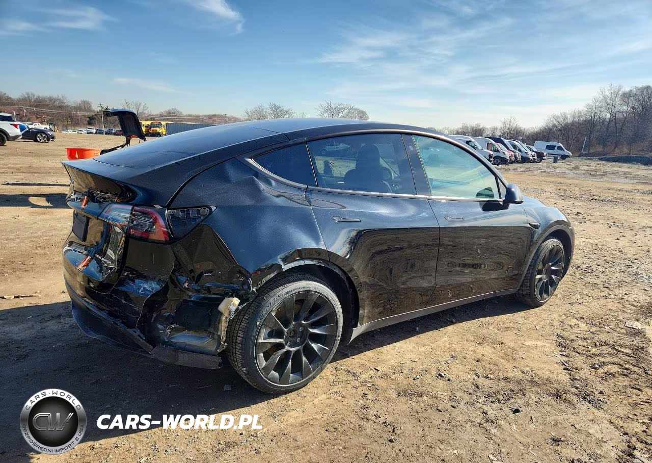 2023 Tesla Model Y VIN:7SAYGDEE3PF607258 - 3