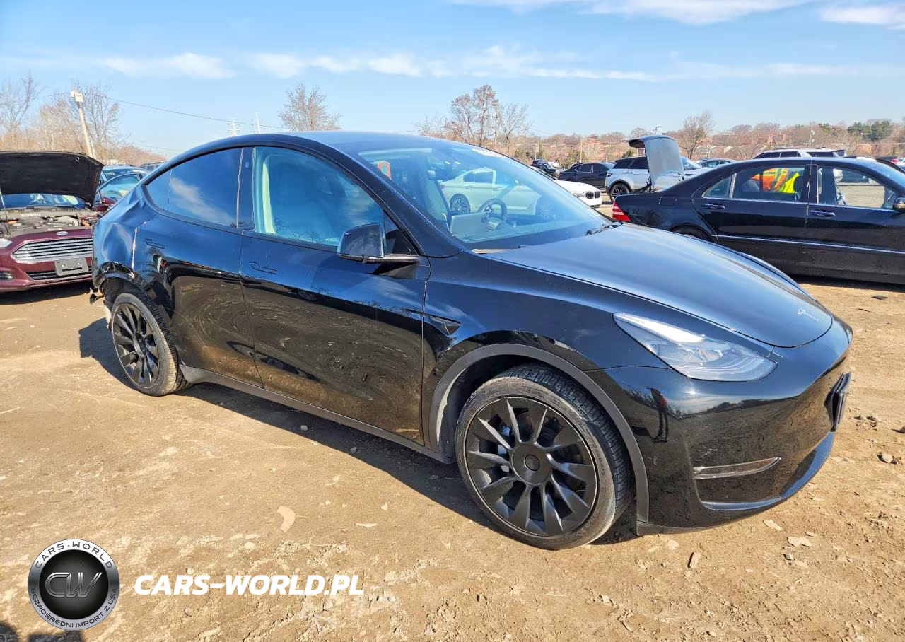 2023 Tesla Model Y VIN:7SAYGDEE3PF607258 - 4