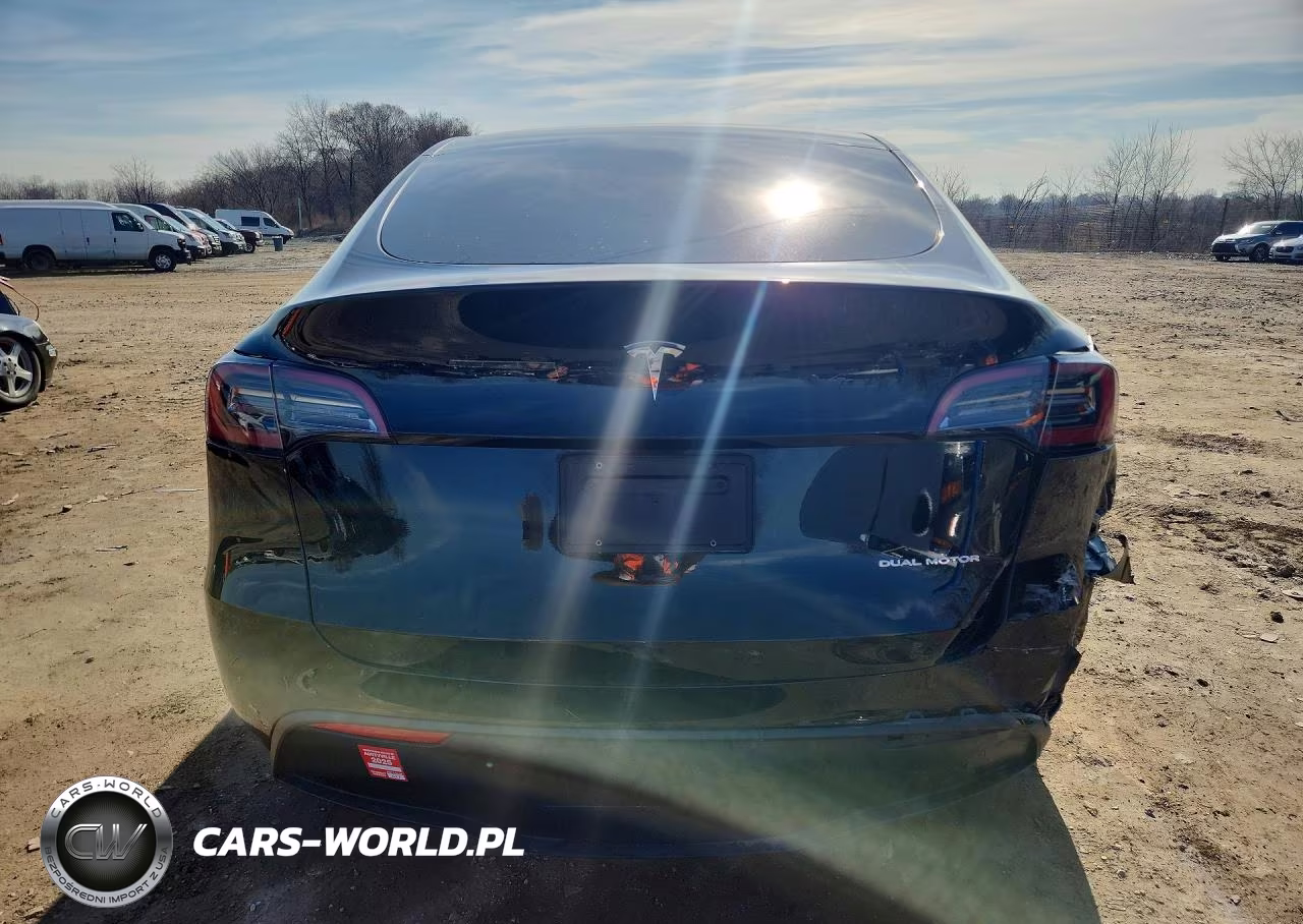 2023 Tesla Model Y VIN:7SAYGDEE3PF607258 - 6