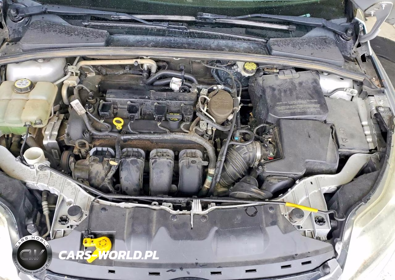 2012 Ford Focus Sel VIN:1FAHP3M27CL413487 - 11