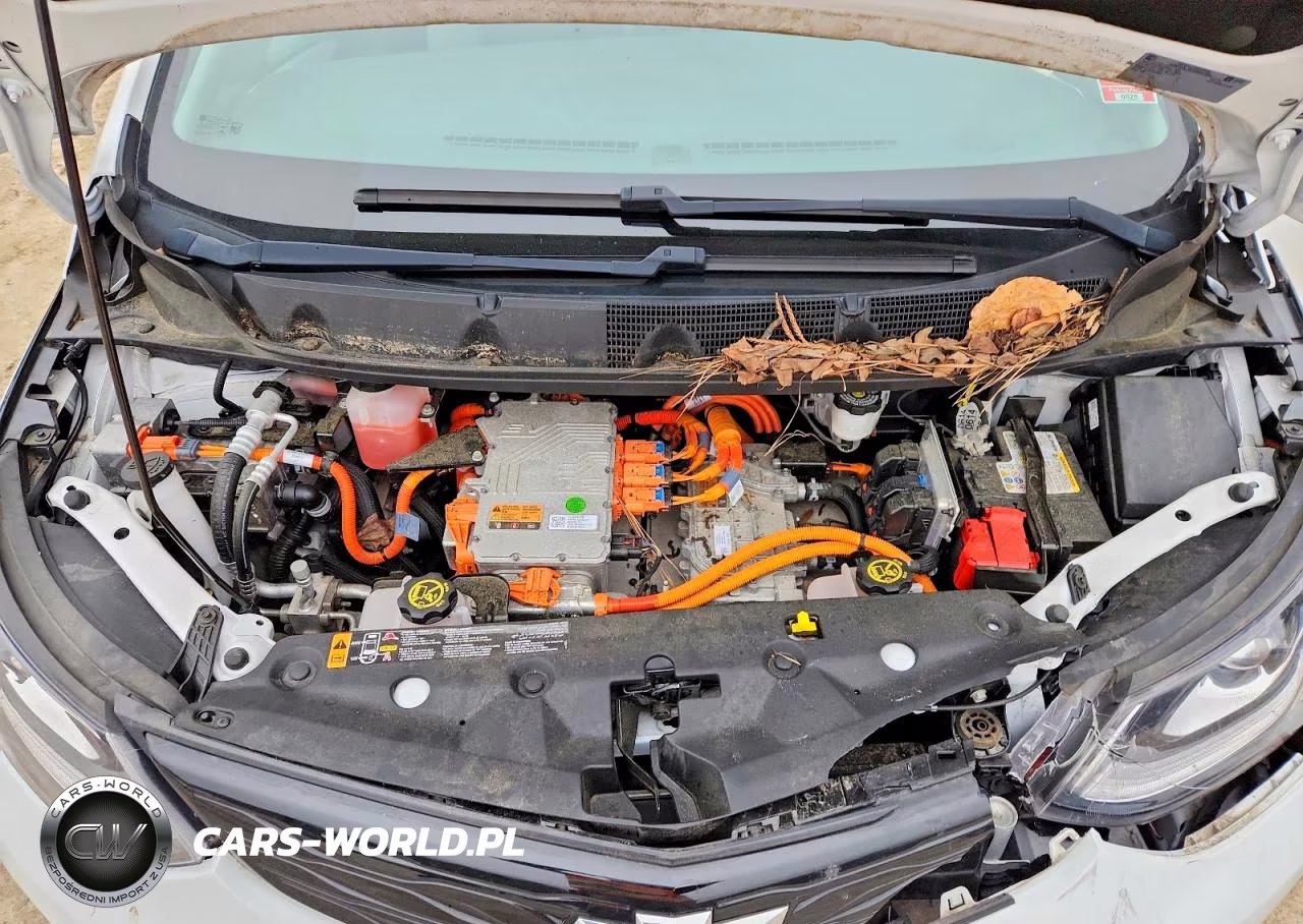 2020 Chevrolet Bolt Ev Lt VIN:1G1FY6S06L4143592 - 11