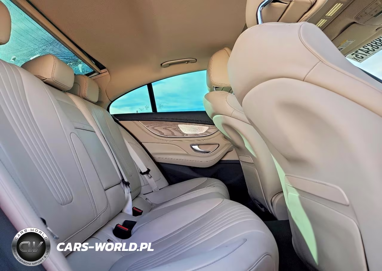 2019 Mercedes-Benz Cls 450 4Matic VIN:WDD2J5KBXKA015402 - 10