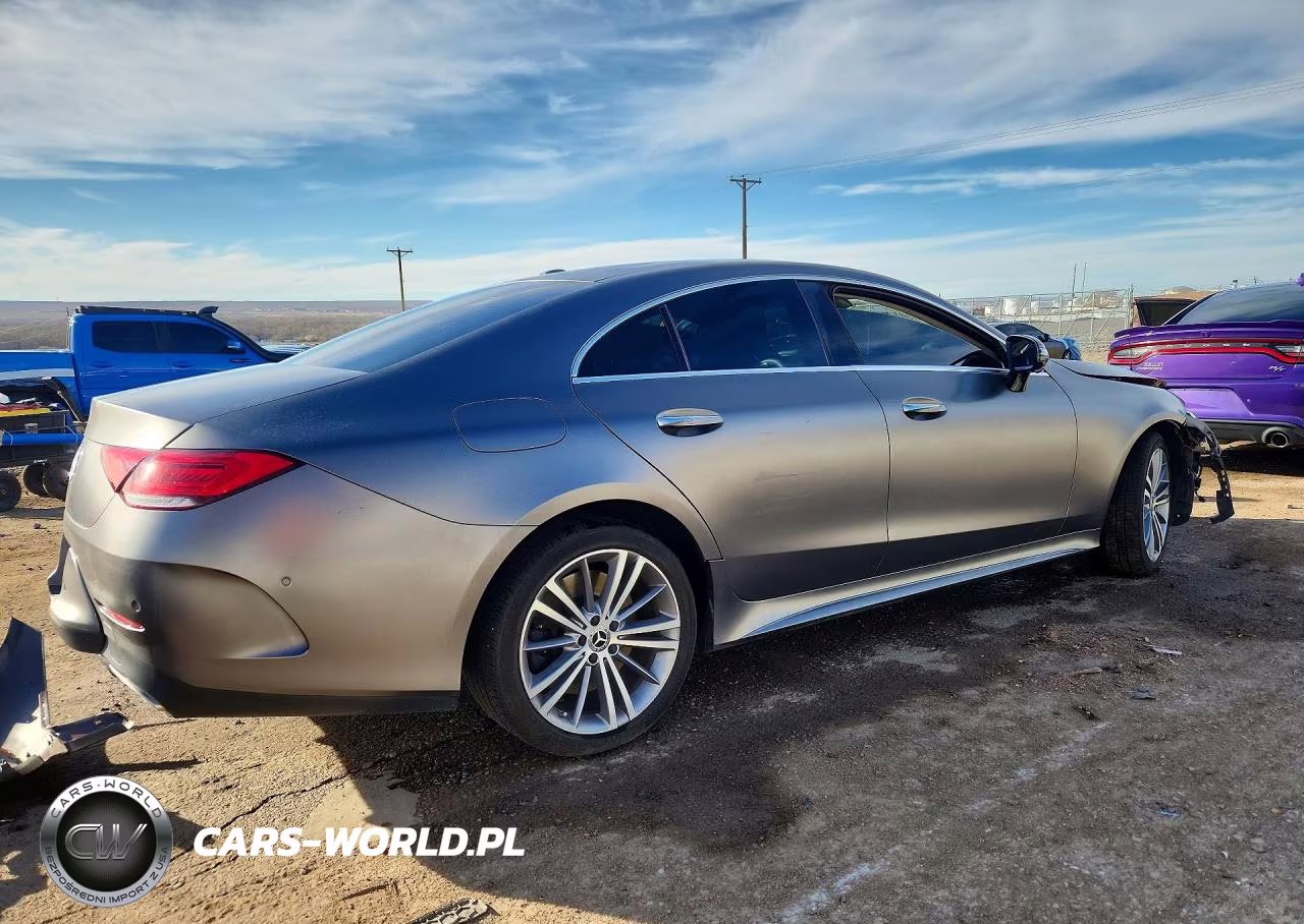 2019 Mercedes-Benz Cls 450 4Matic VIN:WDD2J5KBXKA015402 - 3
