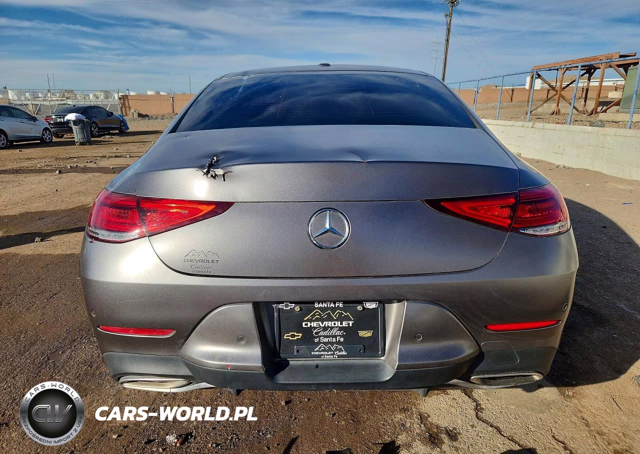 2019 Mercedes-Benz Cls 450 4Matic VIN:WDD2J5KBXKA015402 - 6