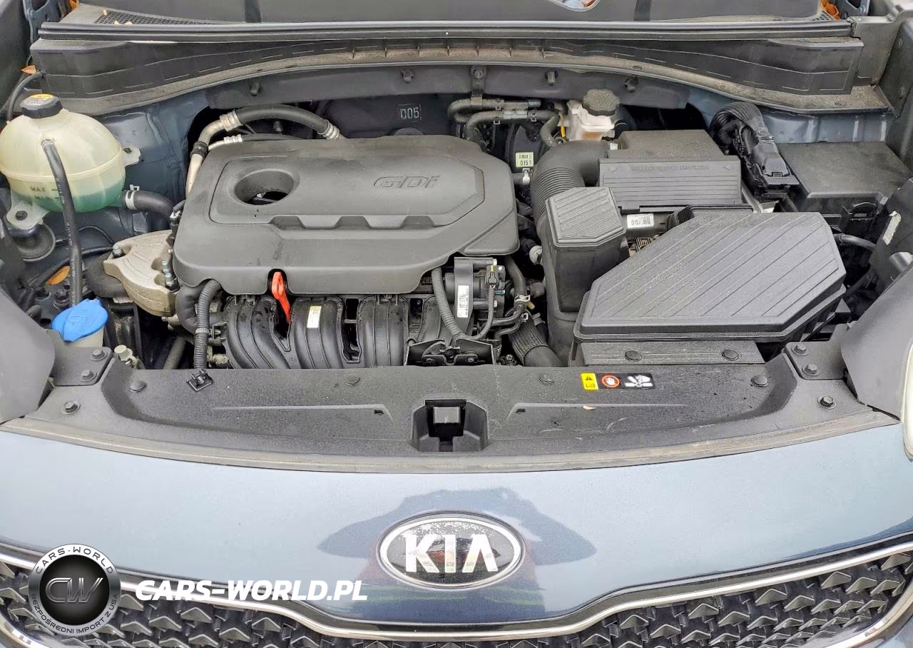 2017 Kia Sportage Ex VIN:KNDPN3AC2H7218700 - 12