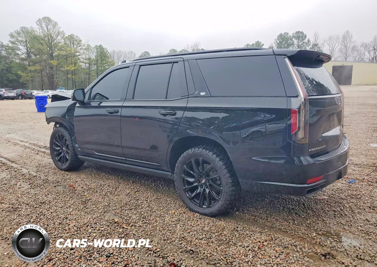 2023 Cadillac Escalade Sport Platinum VIN:1GYS4GKL1PR132875 - 2