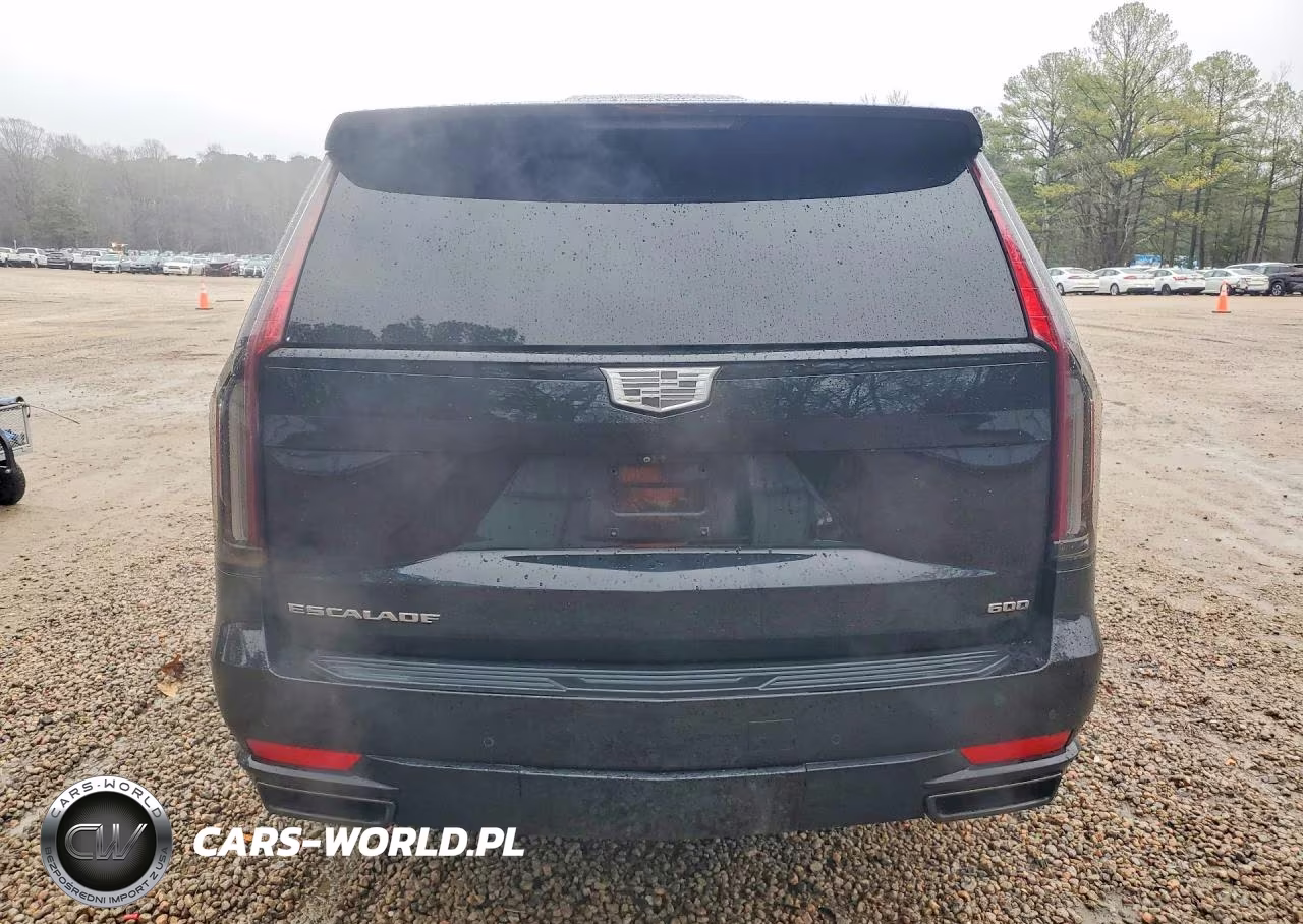 2023 Cadillac Escalade Sport Platinum VIN:1GYS4GKL1PR132875 - 6