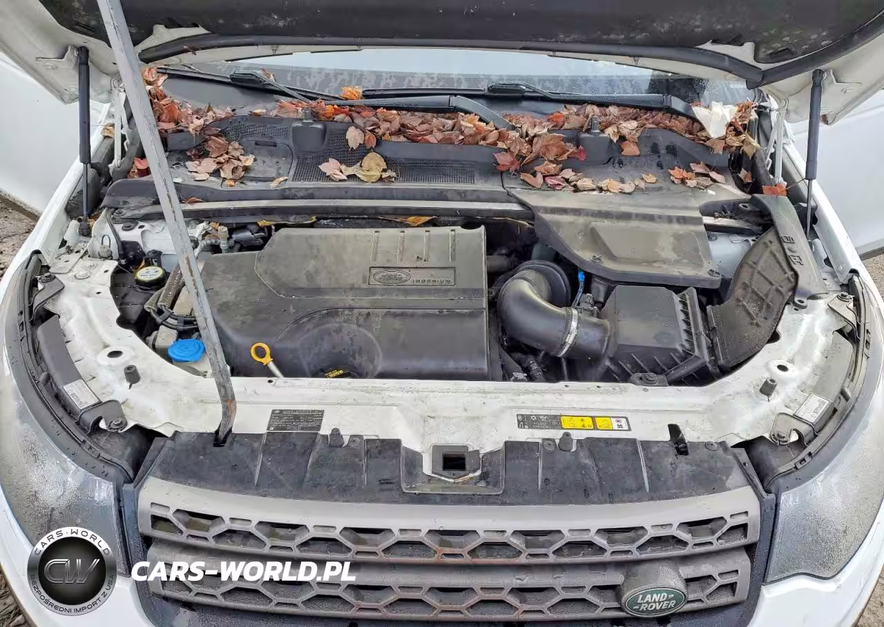 2018 Land Rover Discovery Sport Se VIN:SALCP2RX1JH750197 - 12