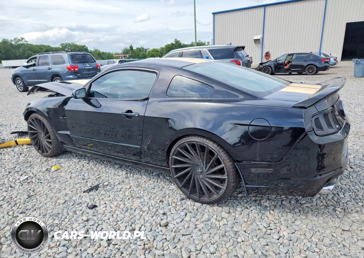 2014 Ford Mustang Gt VIN:1ZVBP8CF7E5206992 - 2
