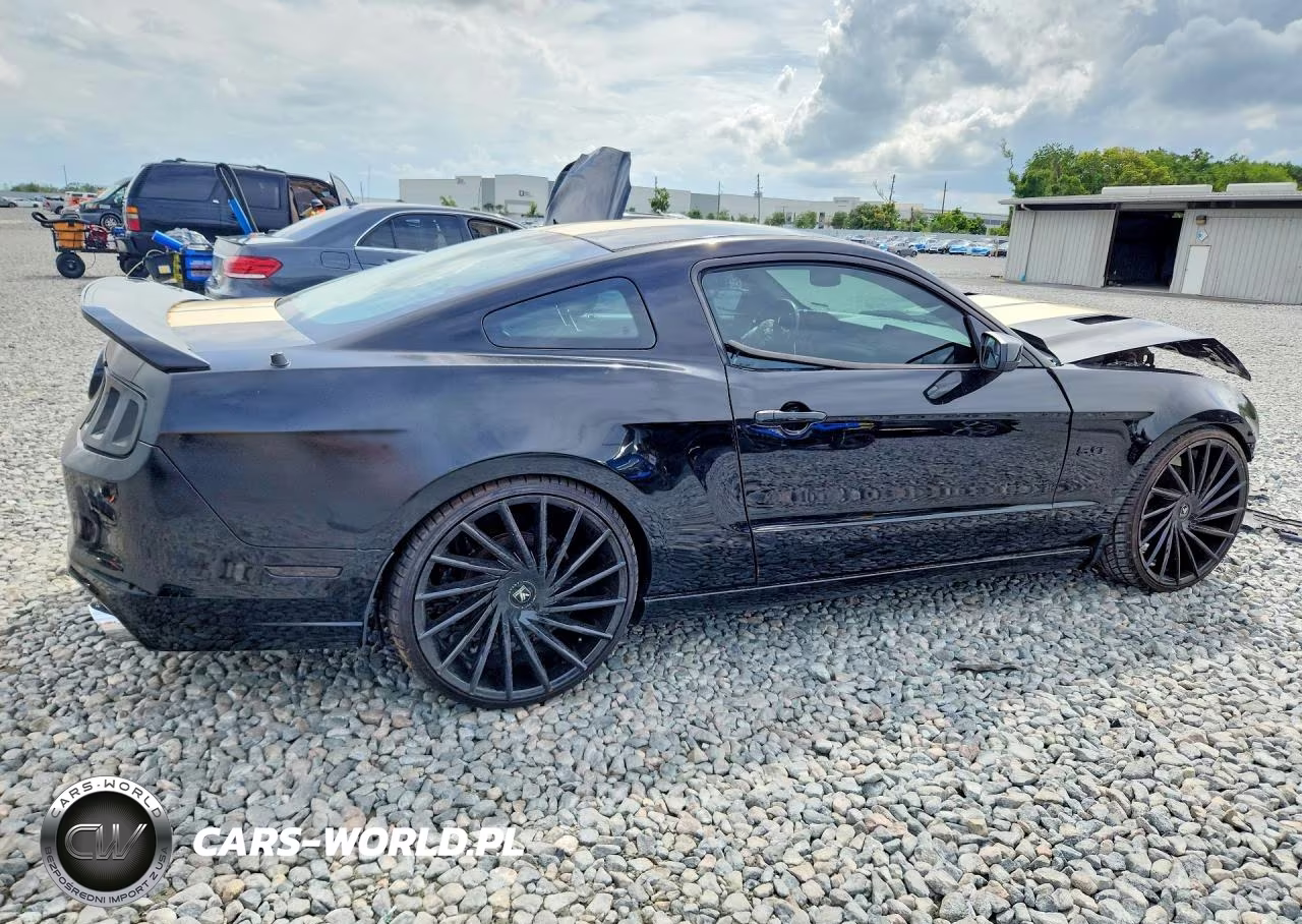 2014 Ford Mustang Gt VIN:1ZVBP8CF7E5206992 - 3