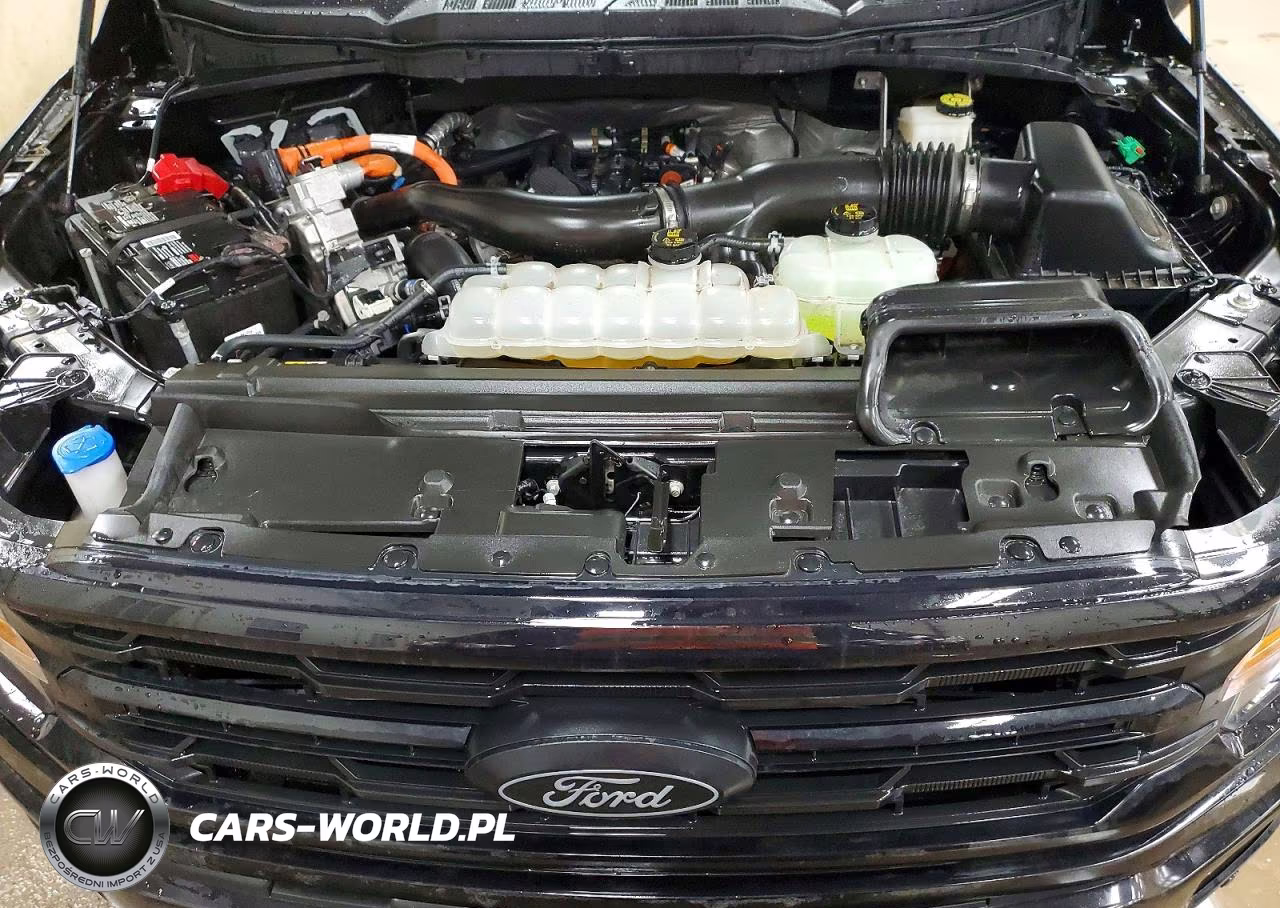 2024 Ford F150 Xlt VIN:1FTFW3LD8RFB88088 - 11