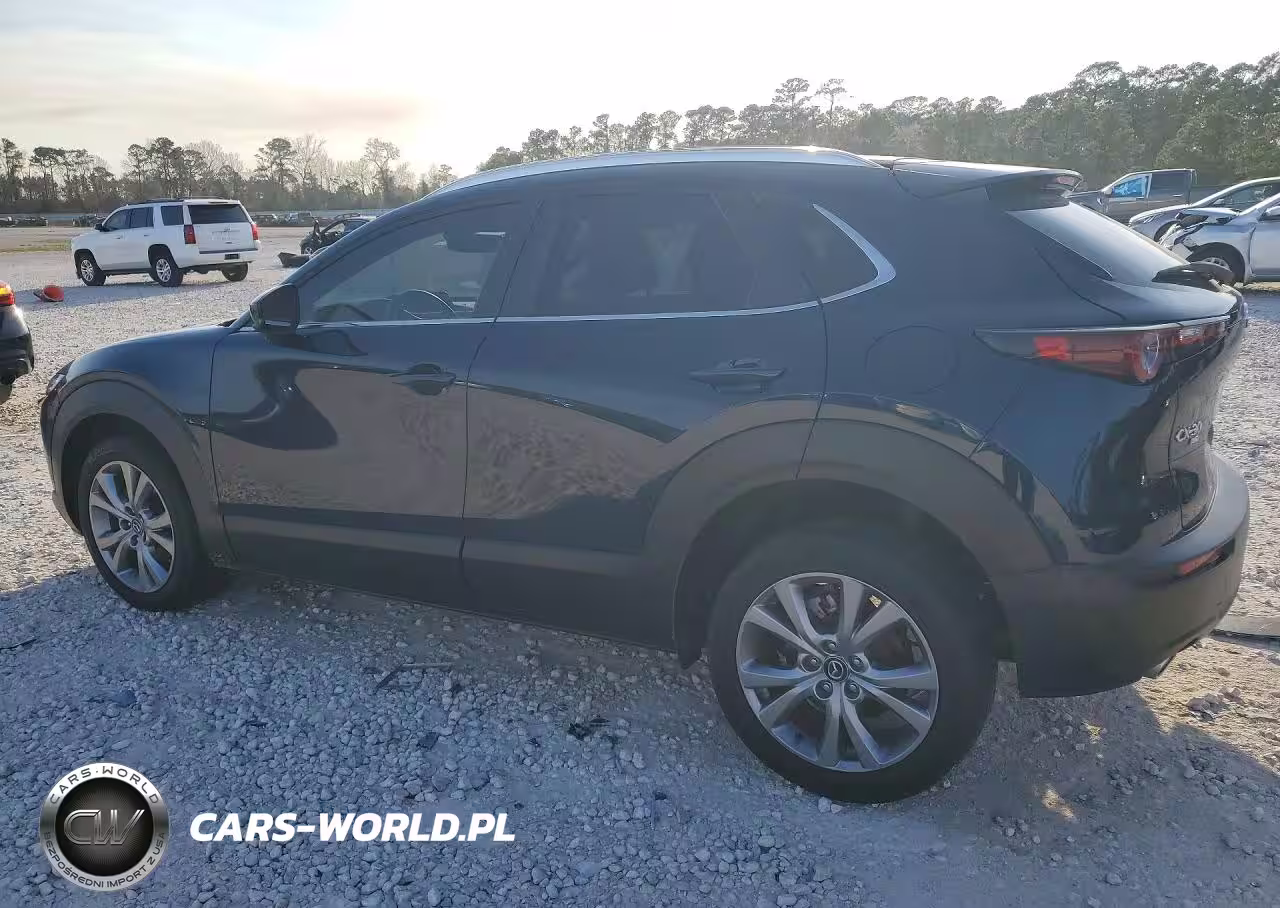 2023 Mazda Cx-30 Preferred VIN:3MVDMBCM9PM550349 - 2