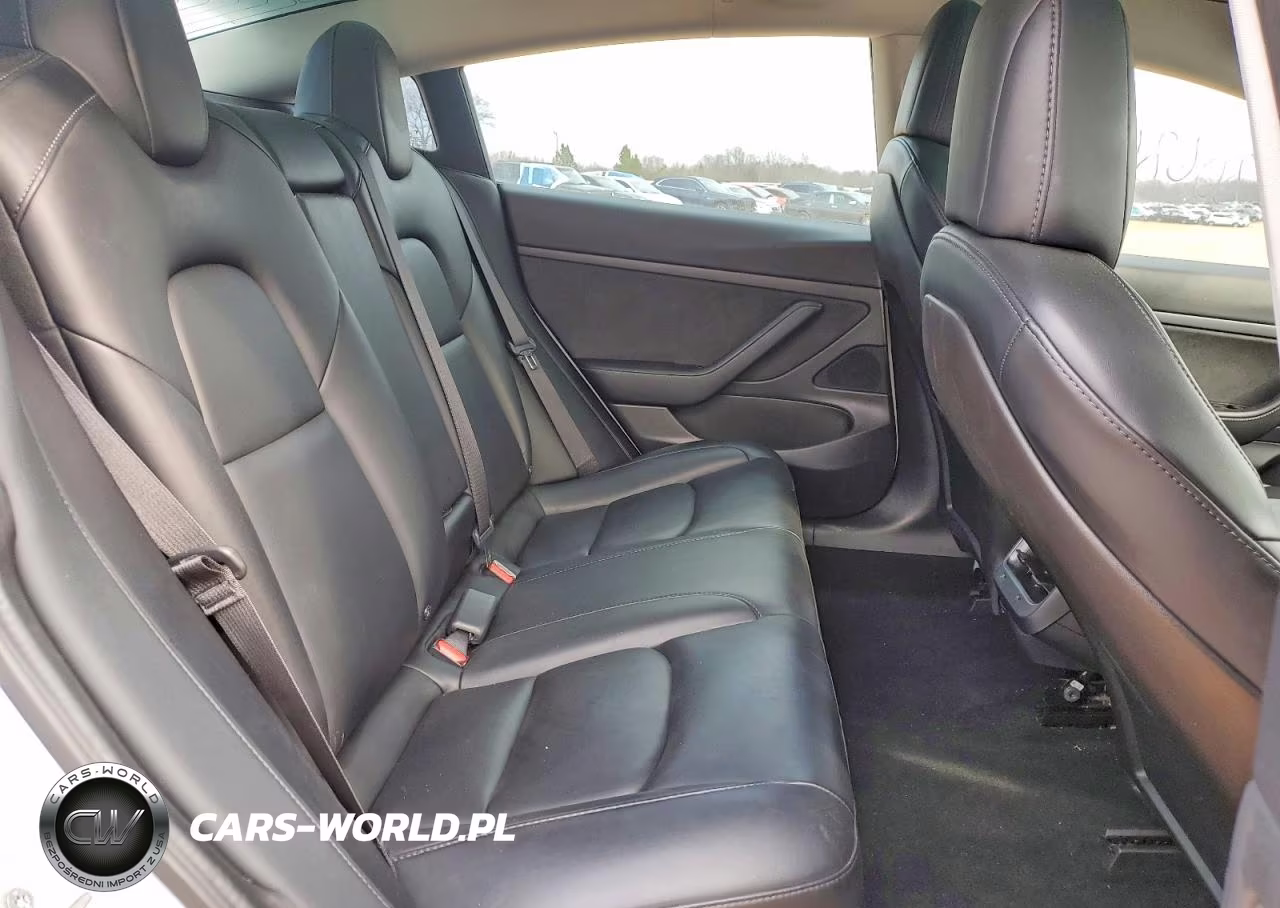 2020 Tesla 3 VIN:5YJ3E1EA0LF597842 - 10