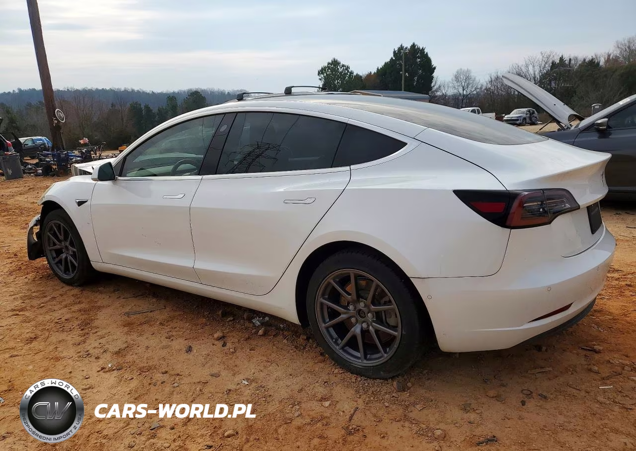 2020 Tesla 3 VIN:5YJ3E1EA0LF597842 - 2