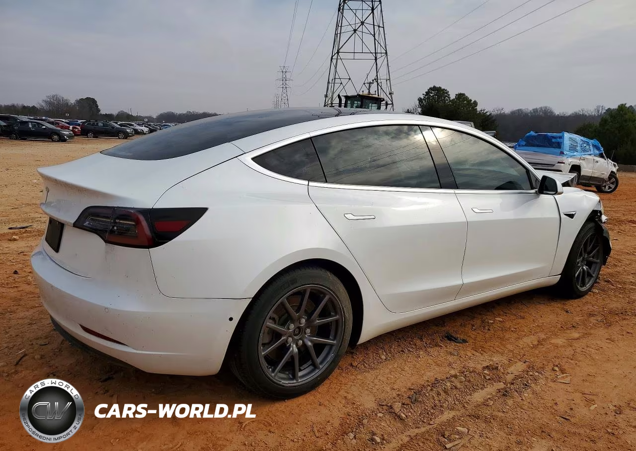 2020 Tesla 3 VIN:5YJ3E1EA0LF597842 - 3
