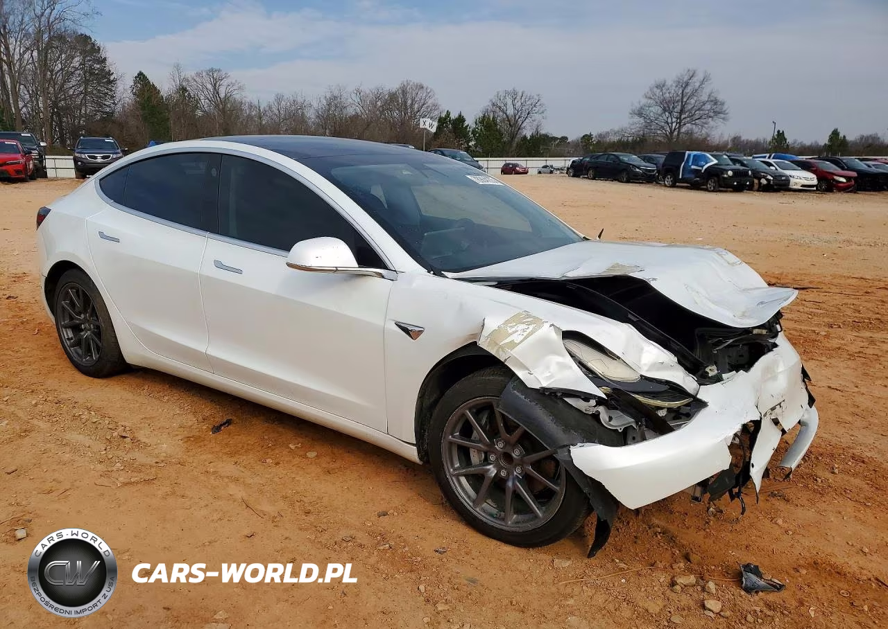 2020 Tesla 3 VIN:5YJ3E1EA0LF597842 - 4
