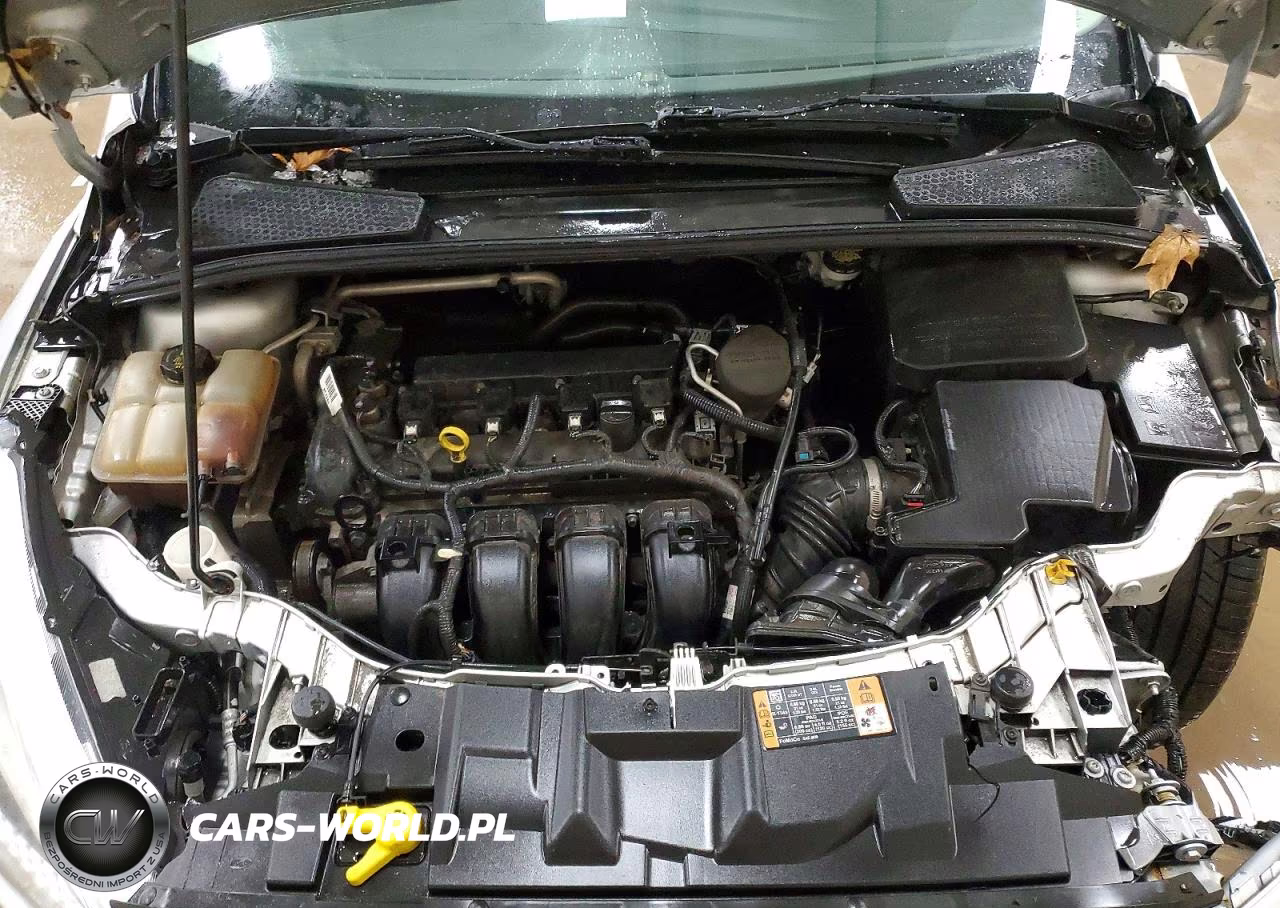 2016 Ford Focus Se VIN:1FADP3F20GL208563 - 11