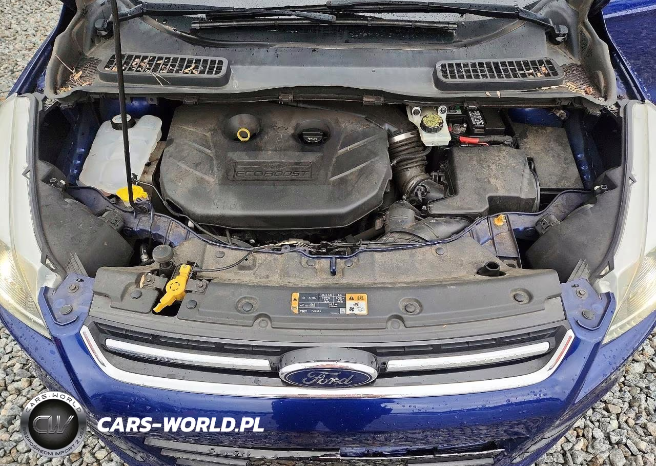 2014 Ford Escape Titanium VIN:1FMCU9J98EUA62888 - 11