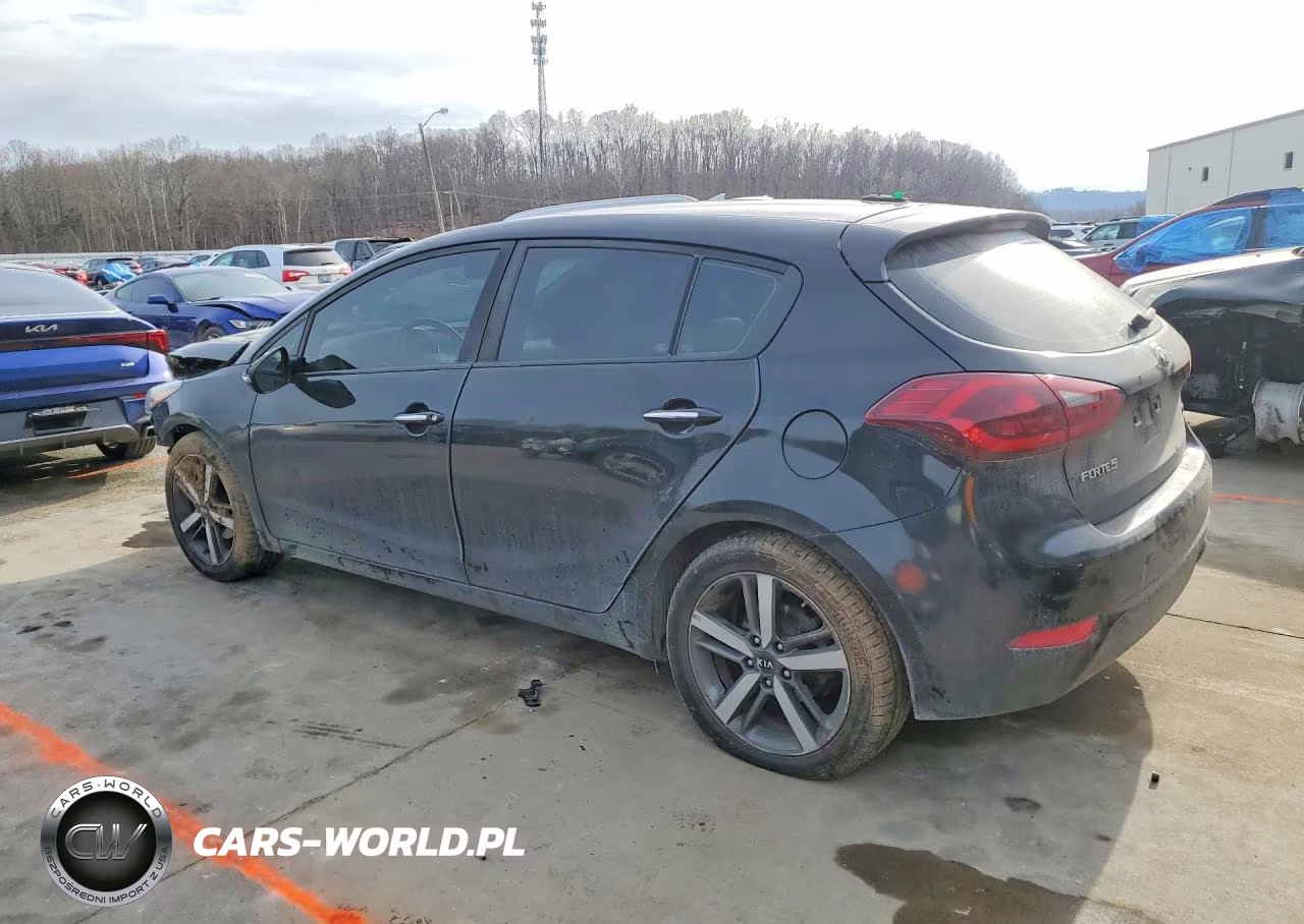 2017 Kia Forte5 Ex VIN:KNAFX5A82H5709029 - 2