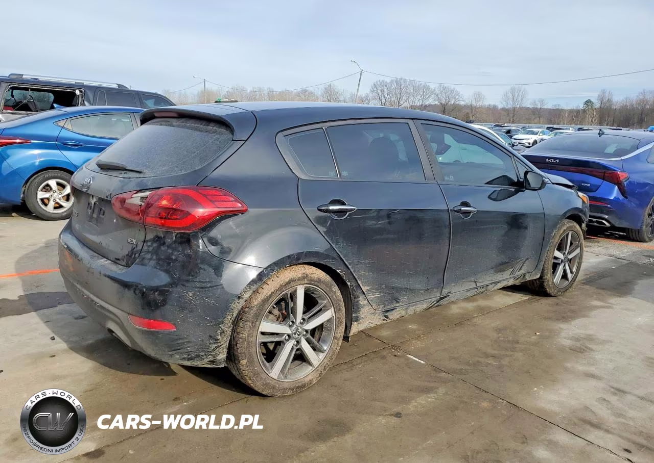 2017 Kia Forte5 Ex VIN:KNAFX5A82H5709029 - 3