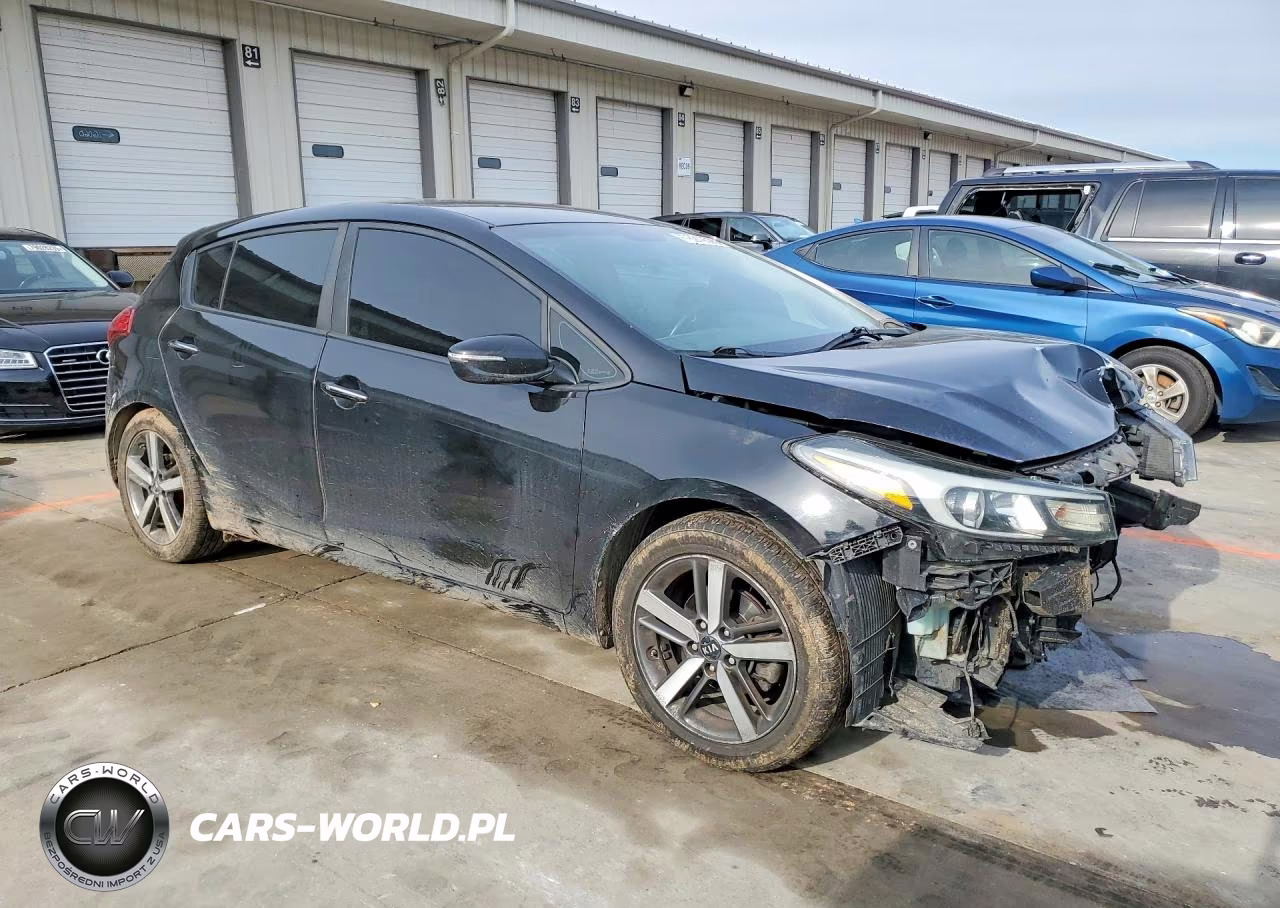 2017 Kia Forte5 Ex VIN:KNAFX5A82H5709029 - 4