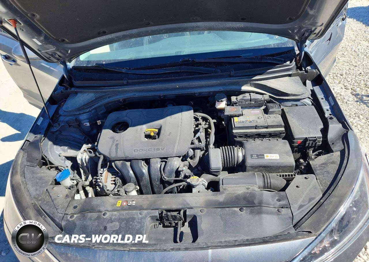 2019 Hyundai Elantra Sel VIN:KMHD84LF5KU781431 - 11