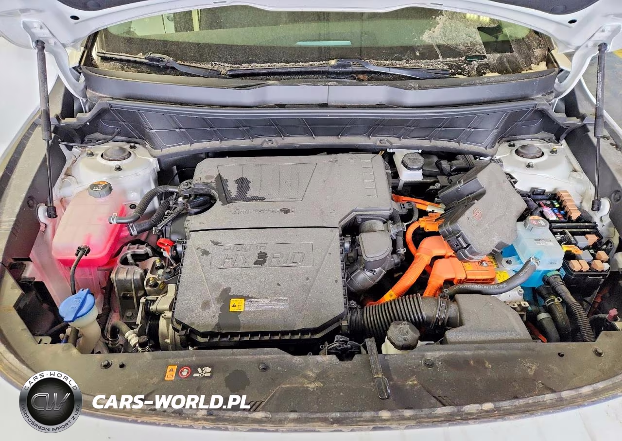 2024 Kia Niro Plug-In Hybrid Ex VIN:KNDCS3LF2R5209121 - 11