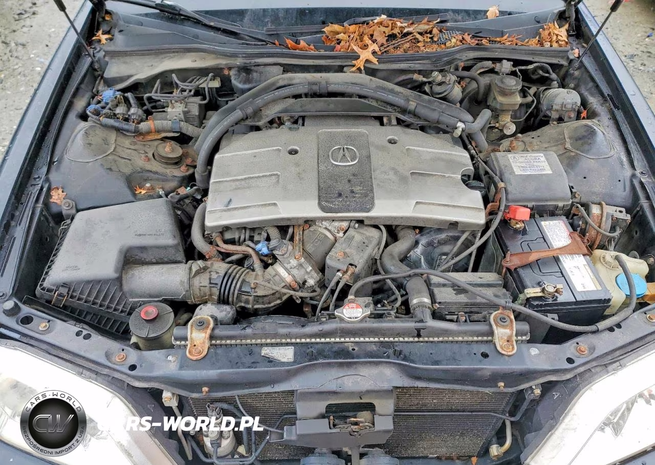 2002 Acura 3.5Rl VIN:JH4KA96512C010582 - 11