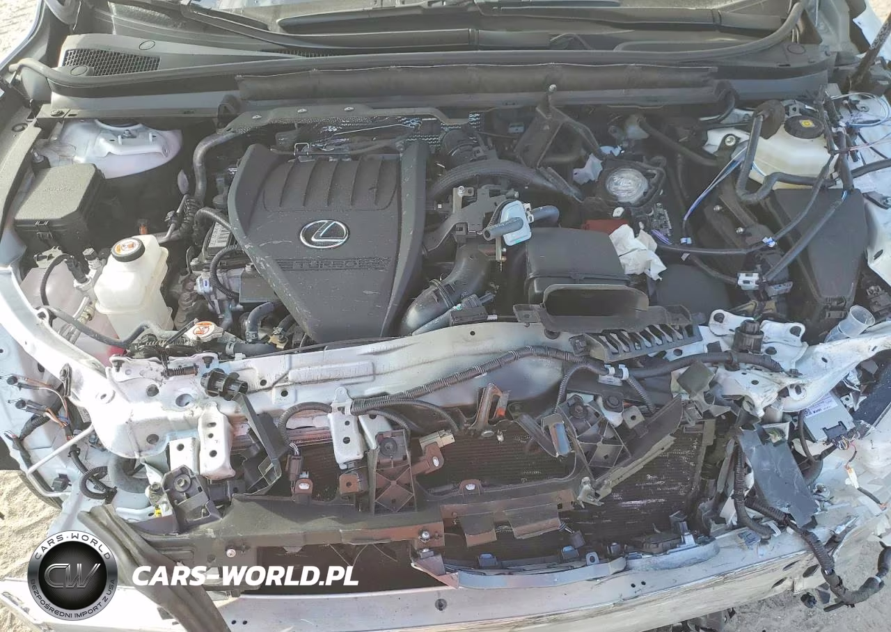2025 Lexus Rx 350 Base VIN:2T2BAMBA5SC058452 - 12