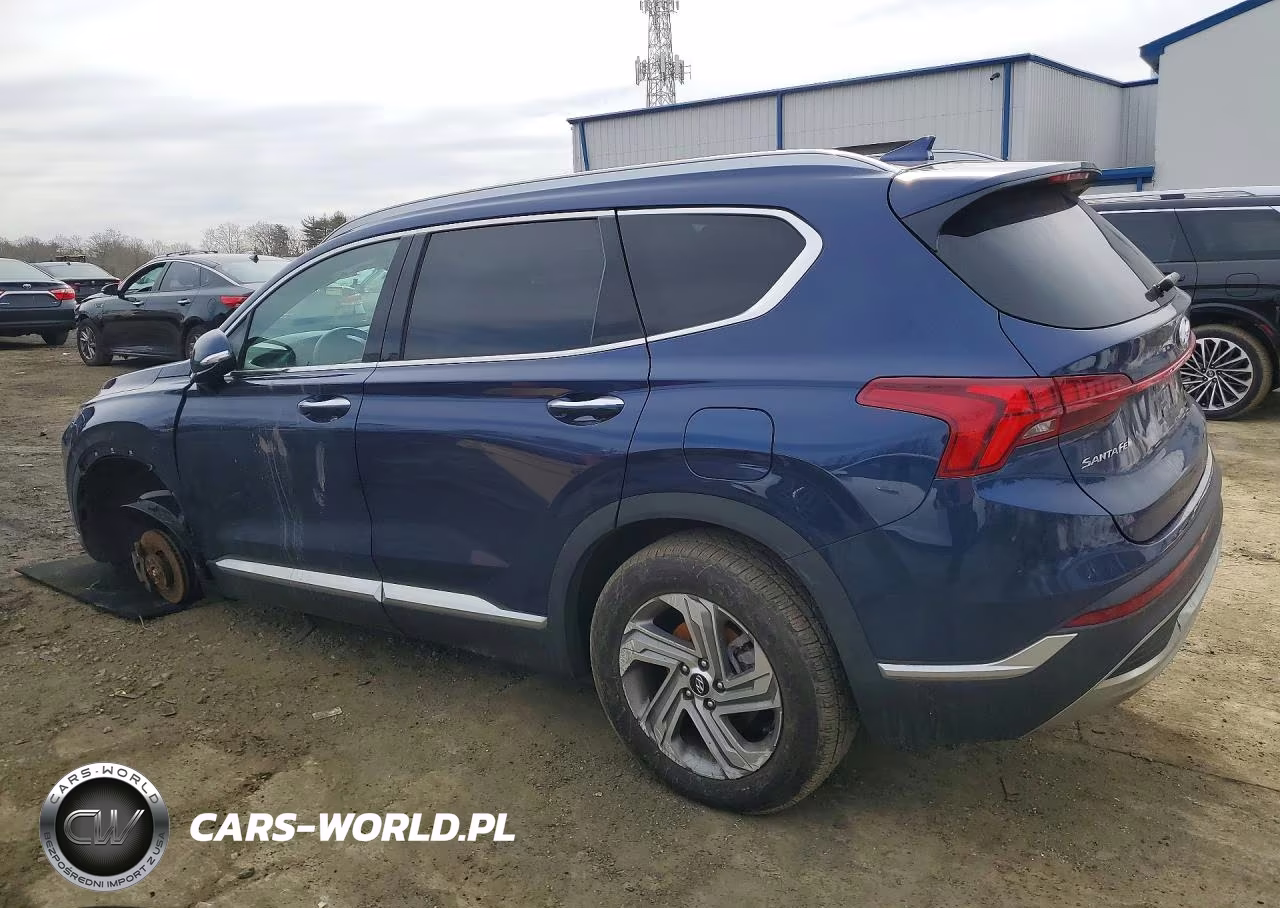 2023 Hyundai Santa Fe Sel VIN:5NMS3DAJ7PH541930 - 2