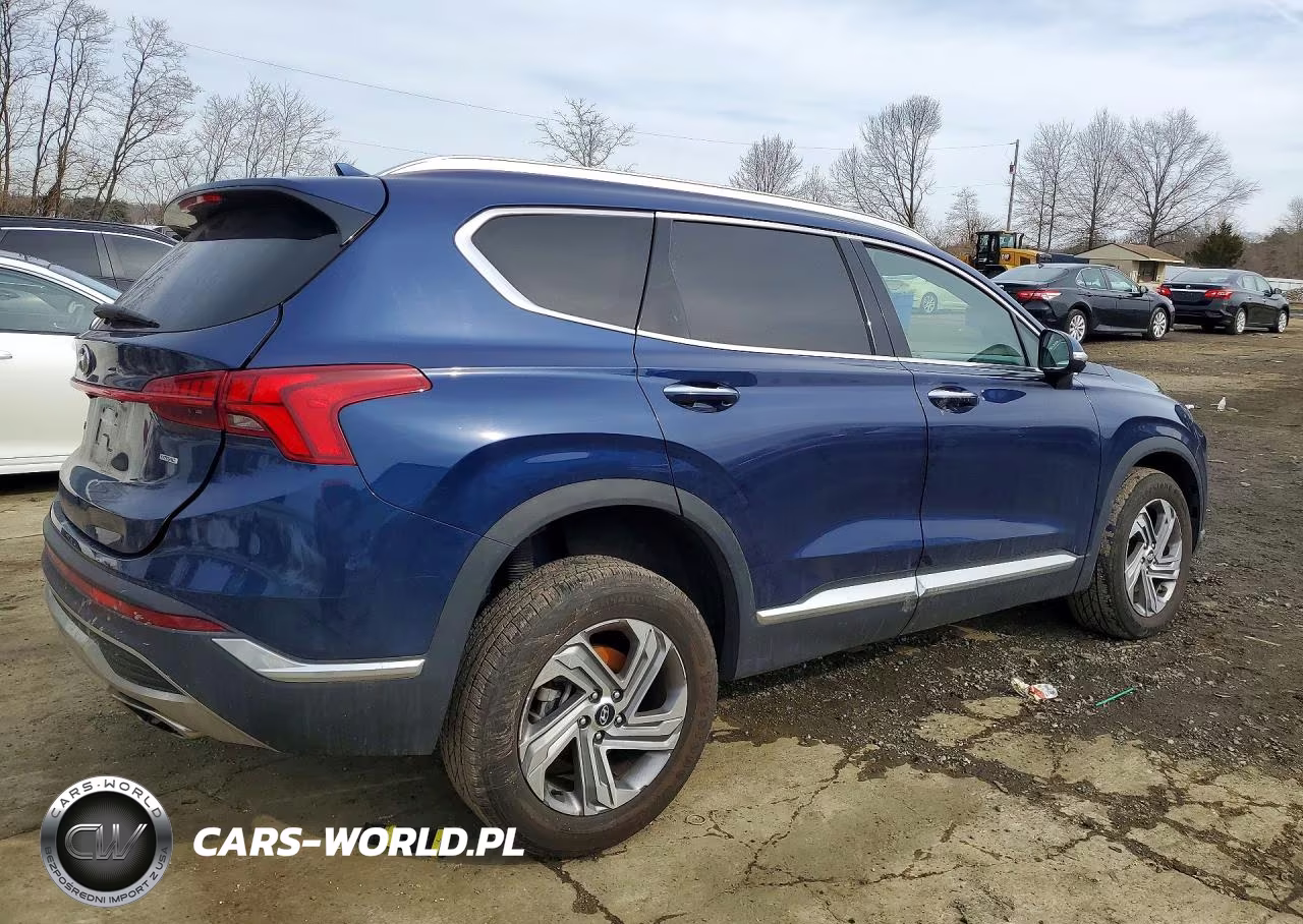 2023 Hyundai Santa Fe Sel VIN:5NMS3DAJ7PH541930 - 3