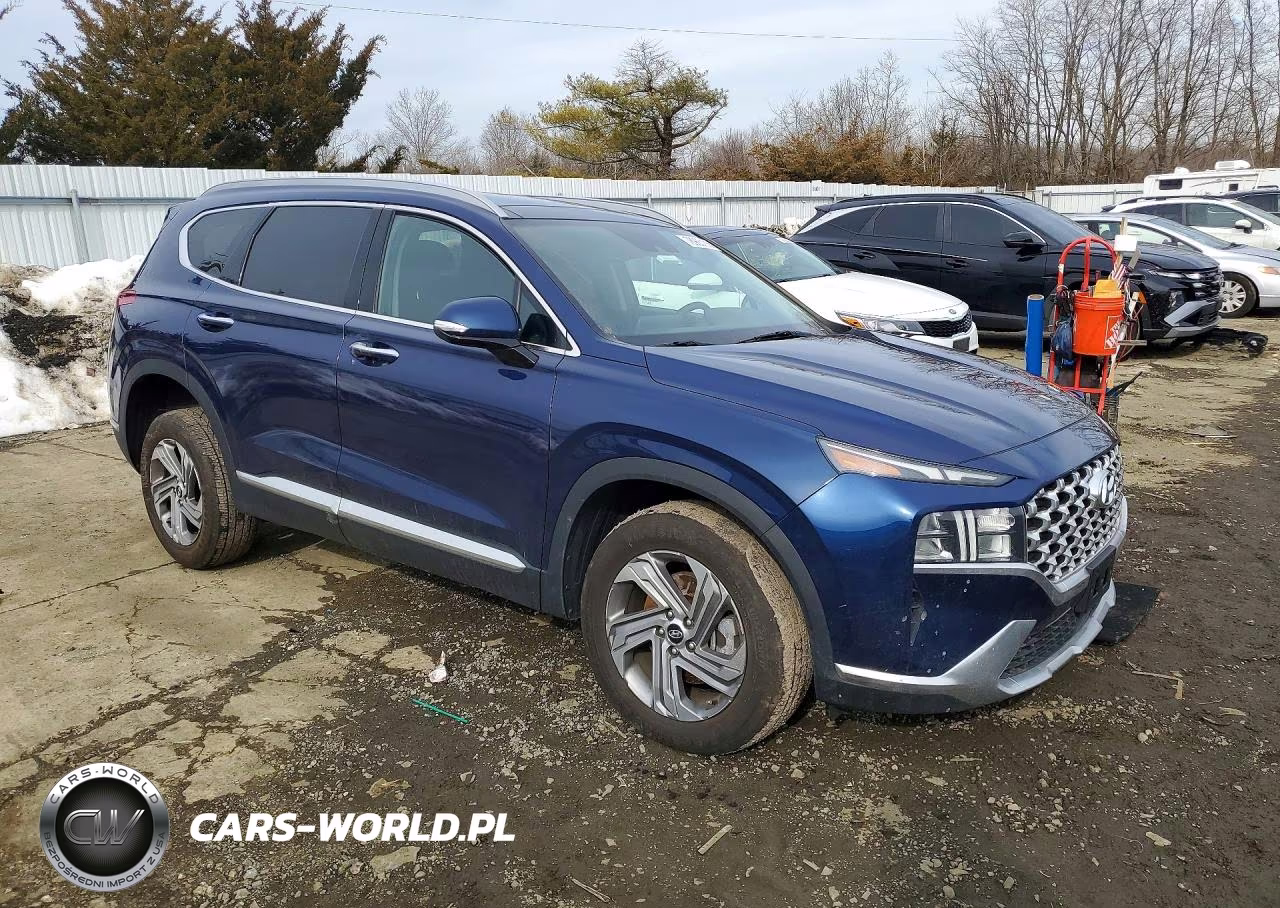 2023 Hyundai Santa Fe Sel VIN:5NMS3DAJ7PH541930 - 4