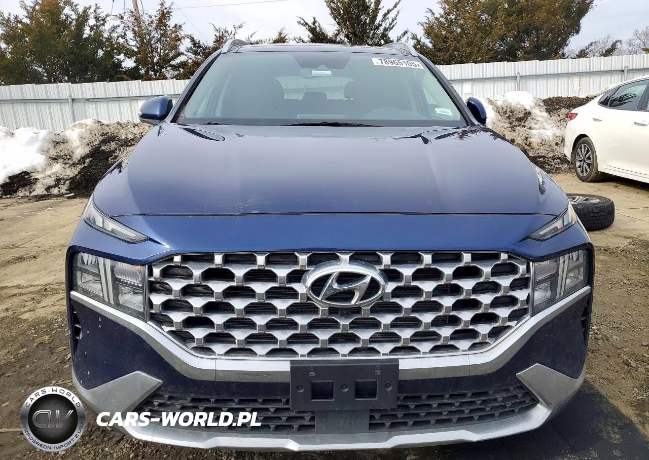2023 Hyundai Santa Fe Sel VIN:5NMS3DAJ7PH541930 - 5