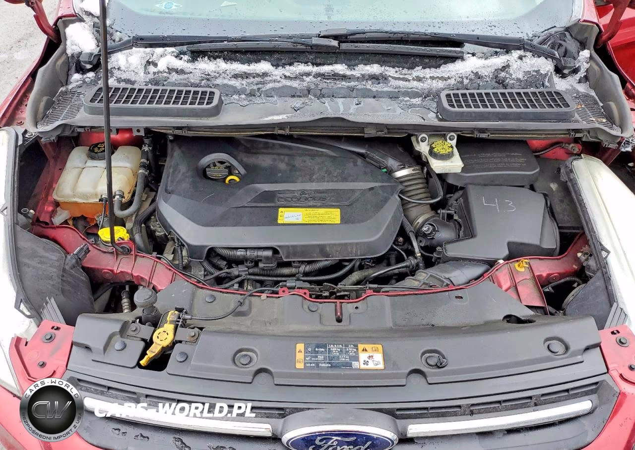 2014 Ford Escape Se VIN:1FMCU9GX2EUB94745 - 12