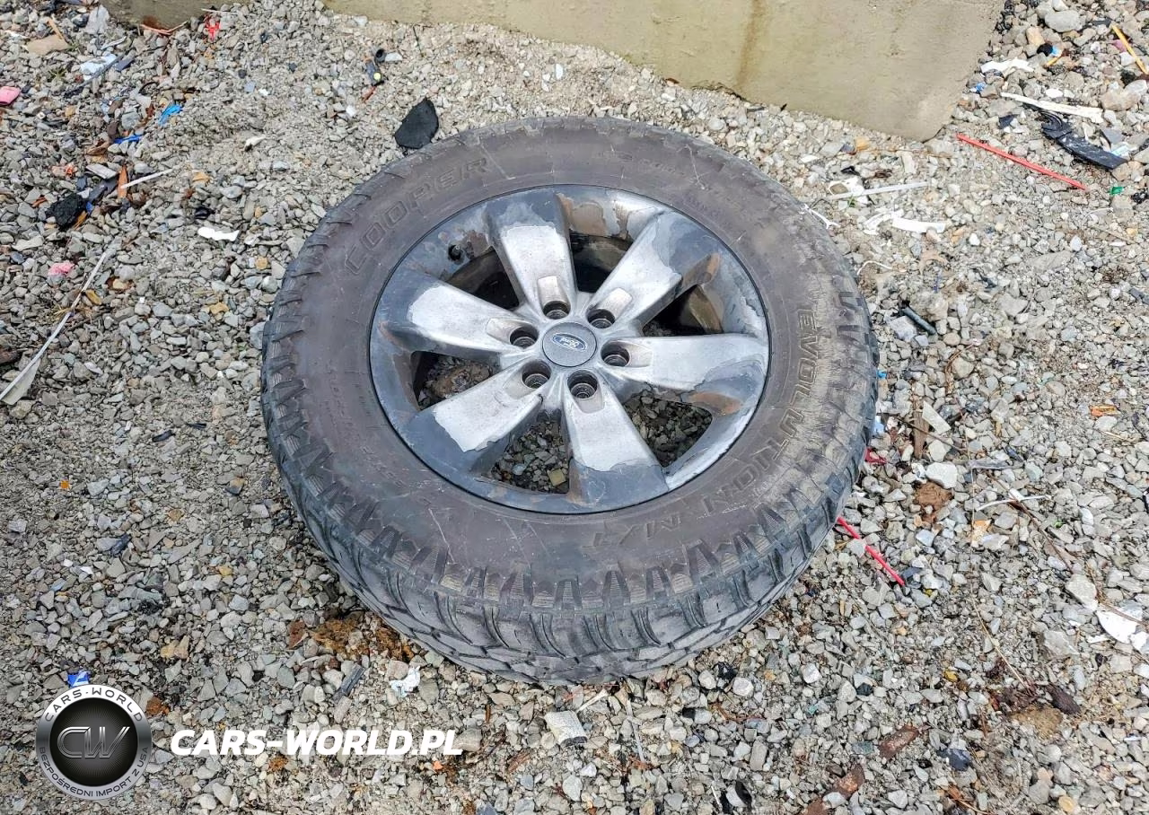 2011 Ford F150 Supercrew VIN:1FTFW1ET2BFB80955 - 12